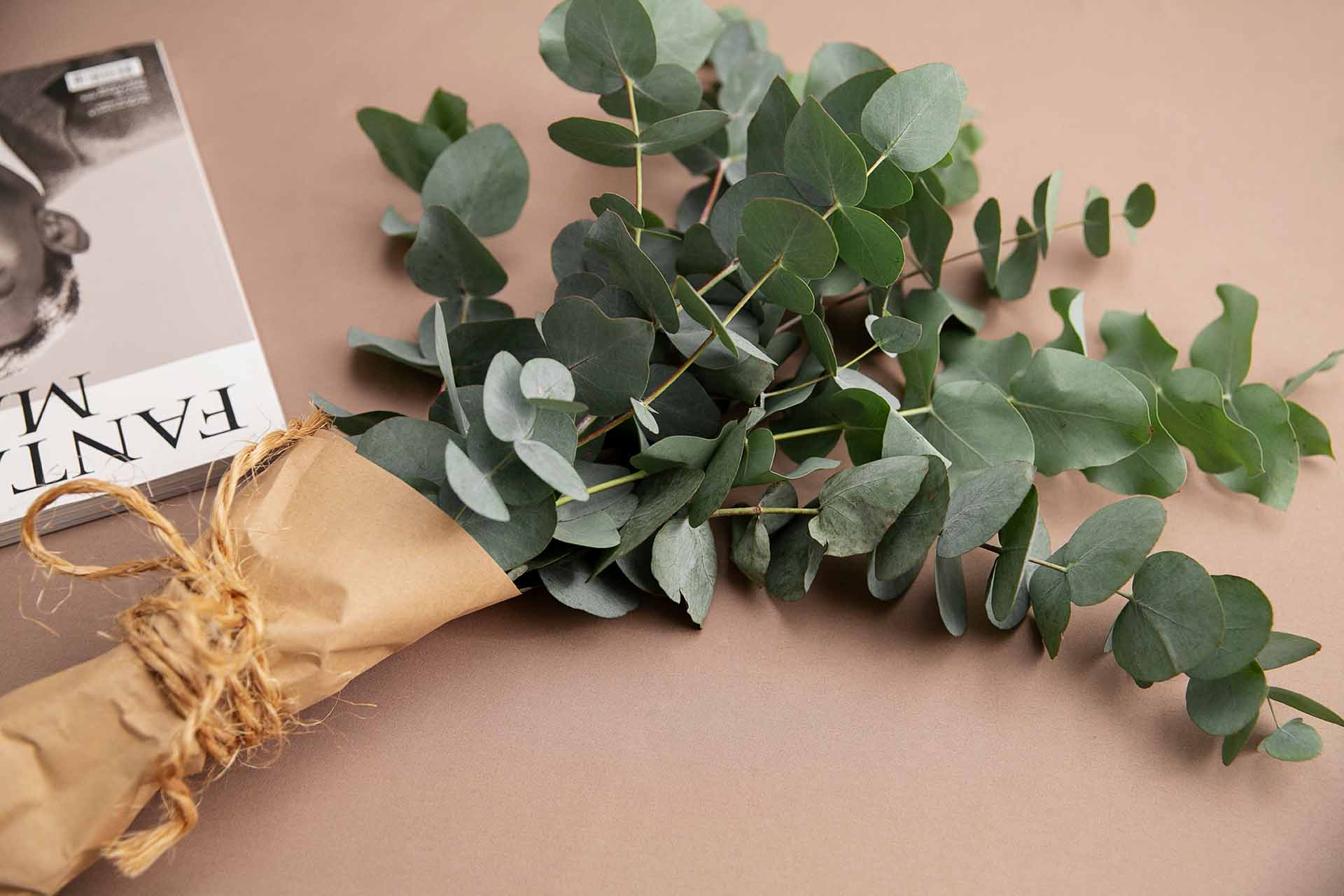 LuAru Studio blog post image with eucalyptus branches